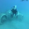 Picture taken during the dive