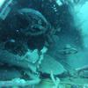 Picture taken during the dive