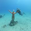 Picture taken during the dive