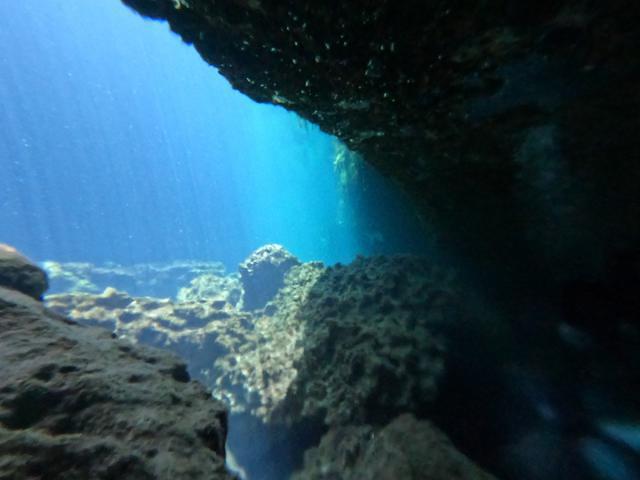 Diversity Scuba - Dive Center in United States