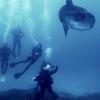 Picture taken during the dive