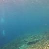 Picture taken during the dive