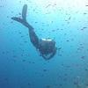 Picture taken during the dive