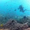 Picture taken during the dive