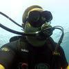 Picture taken during the dive