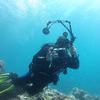 Picture taken during the dive