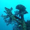 Picture taken during the dive