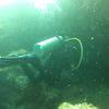 Picture taken during the dive