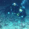 Picture taken during the dive