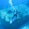 Picture taken during the dive