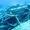 Picture taken during the dive