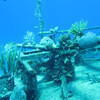 Picture taken during the dive
