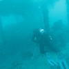 Picture taken during the dive