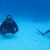 Picture taken during the dive