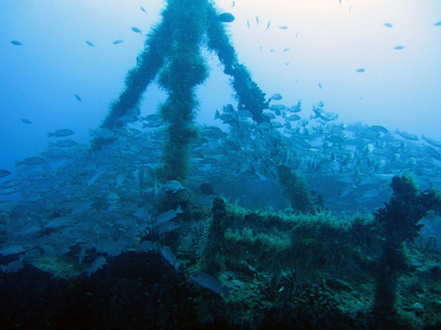 Key Largo Scuba Shack - Dive Center in United States