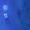 Picture taken during the dive