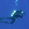 Picture taken during the dive