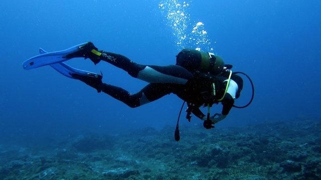 Triton Dive Charters And Lodge - Dive Center in South Africa