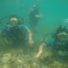Picture taken during the dive