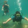 Picture taken during the dive