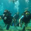 Picture taken during the dive