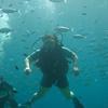Picture taken during the dive